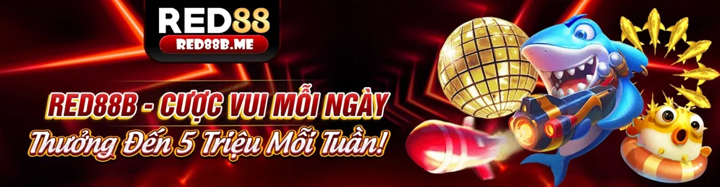 Bảo vệ dữ liệu và giới hạn trách nhiệm tại sun 888